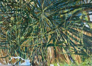 India Sacred Banyan Tree 2 Series