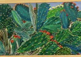 Cactus 8 Mexico