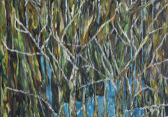 Bev Zerr_07_lowres