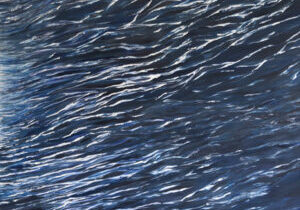 Bev Zerr_16_lowres