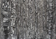 Bev Zerr_23_lowres
