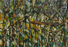 Bev Zerr_26_lowres