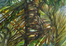 Bev Zerr_27_lowres