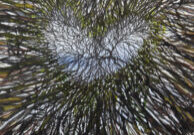 Bev Zerr_28_lowres