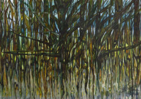 Bev Zerr_29_lowres