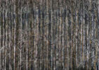 Bev Zerr_FInseperable_lowres