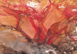 Beverley-Zerr-Art-Website113