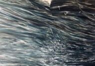 Beverley-Zerr-Art-Website15