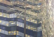 Beverley-Zerr-Art-Website66